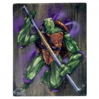 Art print med Donatello