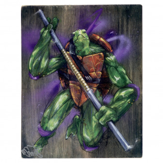 Teenage Mutant Ninja Turtles - Donatello Art print med Donatello